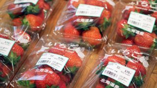 A129メノウ 蓮 ジオード マルビナス産 【一点物 】 素材まるごとグラノラ 朝摘みいちご | Kellogg's Japan