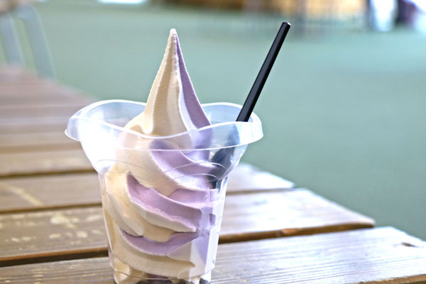 ラベンダーソフトが登場 Furano Marche