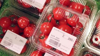 プチトマト様御専用 ミニトマト初入荷 | Furano Marche