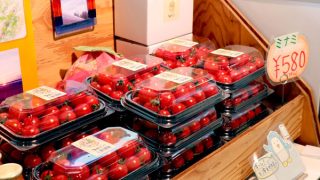 tomatoさん専用 ミニトマト1-320x180.jpg