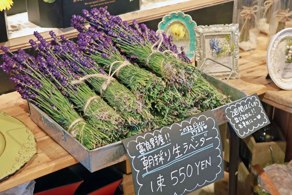 はなや日々色》超レア！朝採り生ラベンダー入荷中 | Furano Marche