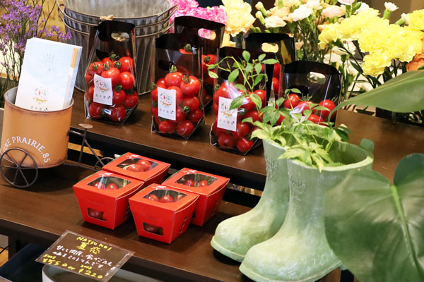 はなや日々色》土日限定入荷☆黒木農園のミニトマト | Furano Marche