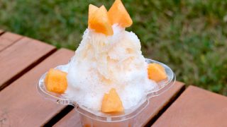 専用　メロン　苺　かき氷　夏　リトルフレンド　フィギュア　置物　しまえなが　野鳥 東京】期間限定かき氷20選！メロンやマンゴー、桃とほうじ茶の