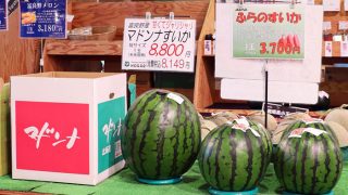 マドンナすいか入荷1-320x180.jpg